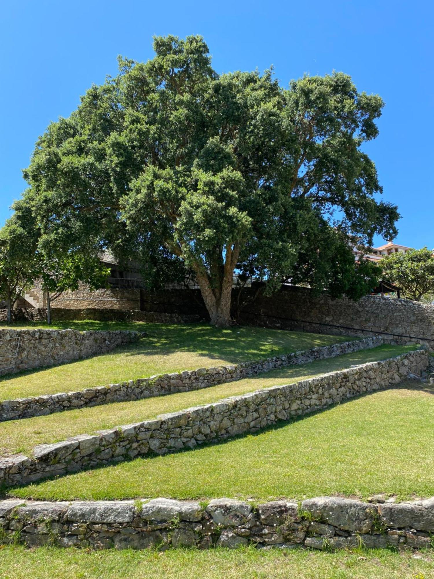 דירות א גוארדה Apartamento Para 5 Con Vistas A Portugal מראה חיצוני תמונה